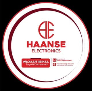 Haanse Electronics